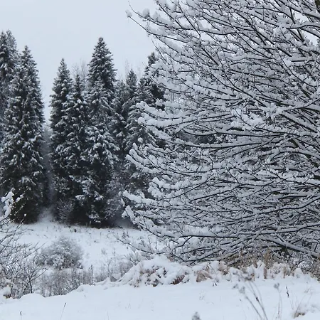 Gasthof Le Pione